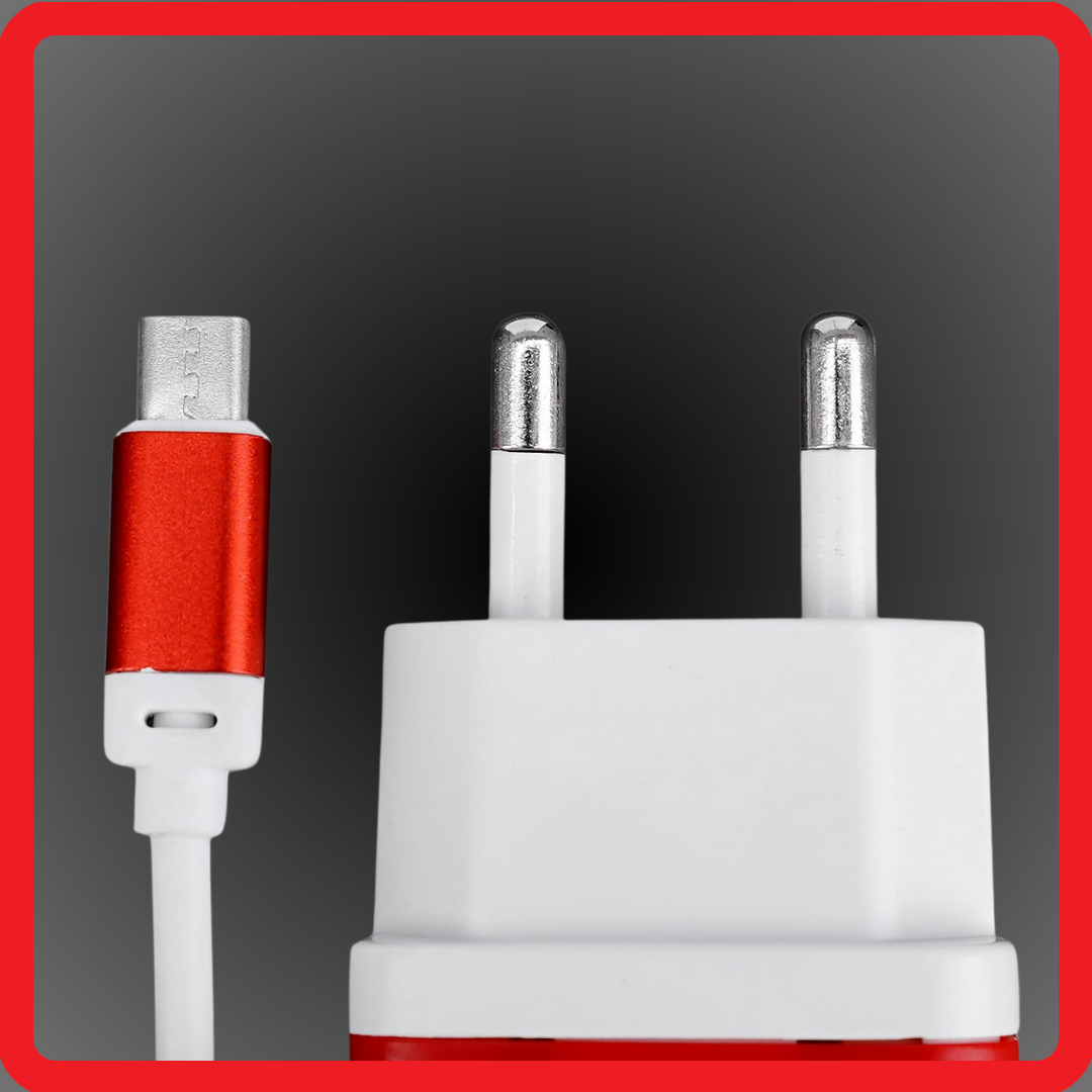100% Orignial 2A Charger for Old Samsung and Nokia Phone - Type B